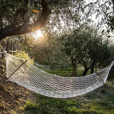 Just Be 4* 皮拉伊诺